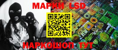молекула духа Краснодар