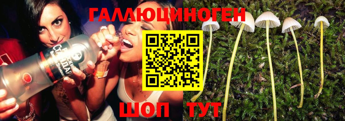 Псилоцибиновые грибы мухоморы Когалым