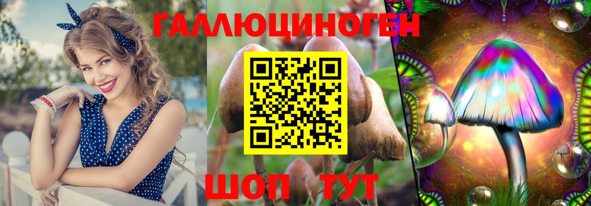 Когалым  Псилоцибиновые грибы Cubensis  Галлюциногенные грибы Magic Shrooms  где купить наркоту  Вход с VPN 